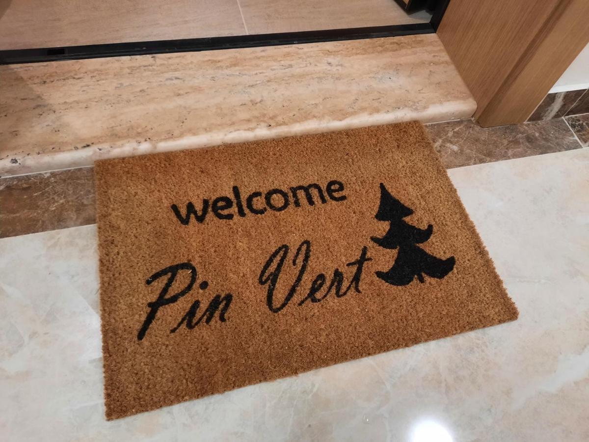 Pin Zlatibor