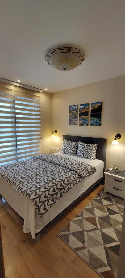 Apartament Pin *