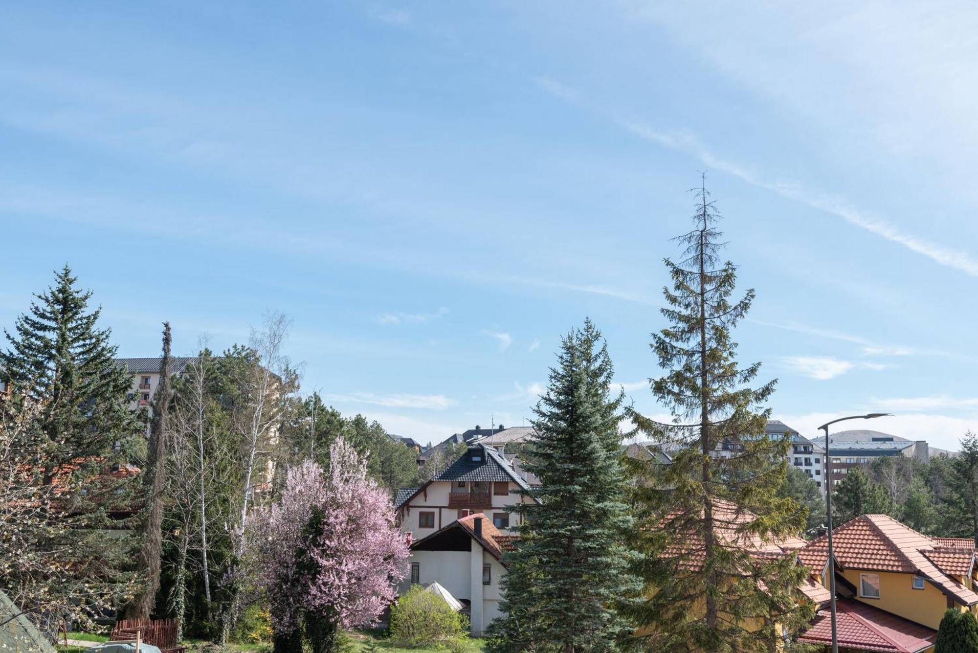 Pin * Zlatibor